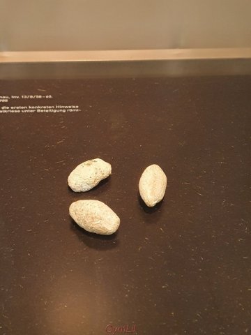 Kalkriese_2026_08