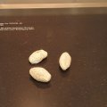 Kalkriese_2026_08