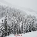 Skibilder_2018_14