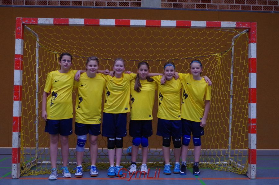 handball kreisentscheid 2014 01