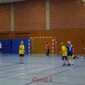 Handball Kreisentscheid 2014